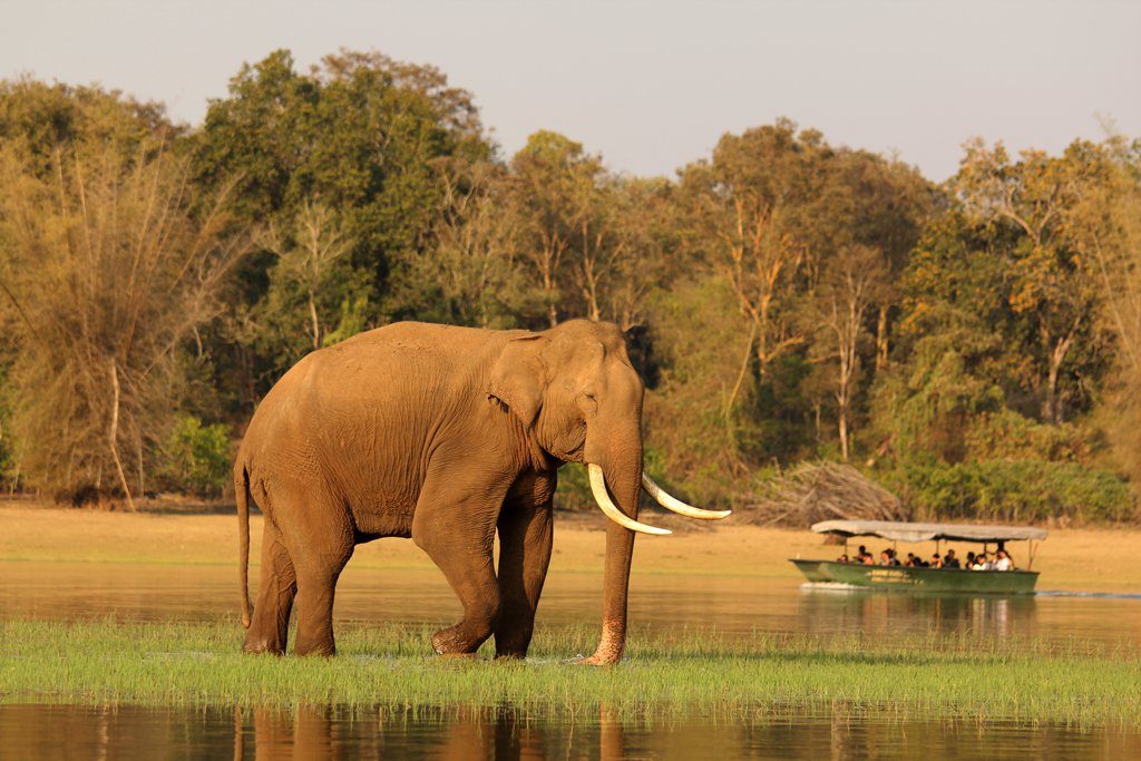 Coorg-Kabini-Wayanad tours from Pune and Mumbai