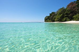 Andaman Honeymoon Package - Havelock Island