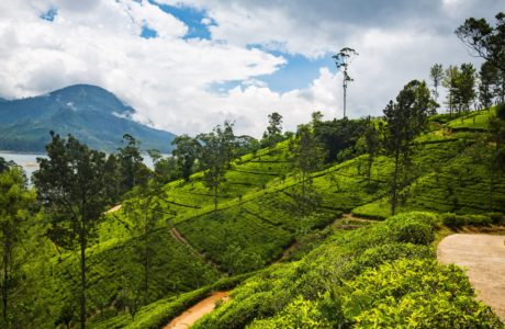 Best Places to Visit in Sri Lanka