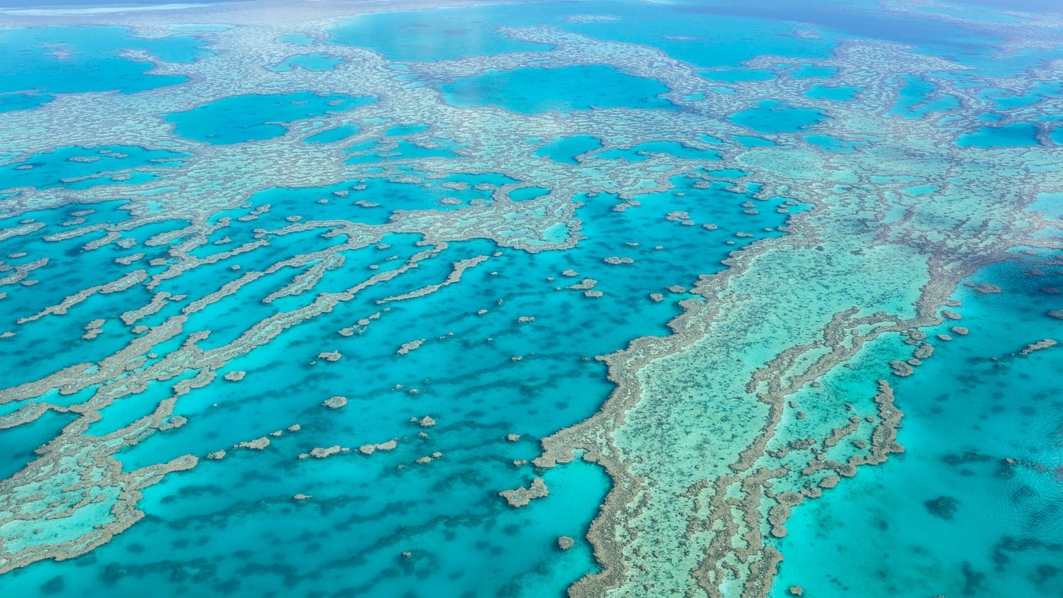 australia tour packages-Great Barrier Reef