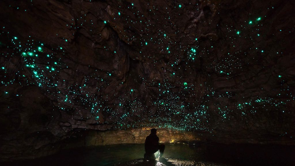 New Zealand Tour Packages-Waitomo Glowworm Caves