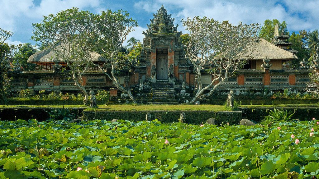 places to visit in bali-Ubud Monkey Forest